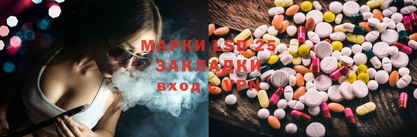 ПСИЛОЦИБИНОВЫЕ ГРИБЫ Абаза